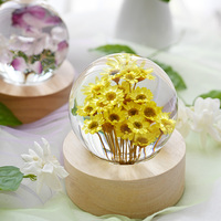 Producto Más Vendido en Alibaba, Set de Regalo Único, Lámpara Nocturna LED con Flores Naturales