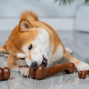 Нетоксичные прочные нейлоновые жевательные игрушки для собак - Product Image 4