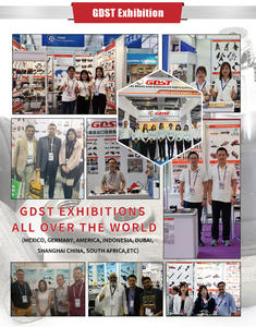 GDST Auto Spare Parts OEM DG1Z5K484A DG1Z5K484B Barre stabilisatrice avant gauche et arrière pour Ford - Product Image 6