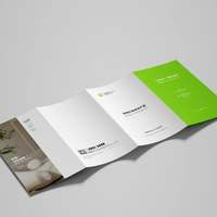 Cetak Leaflet Lipat Berwarna Penuh dengan Logo Kustom, Cetak Brosur Kecil, Brosur Real Estat dengan Spot UV