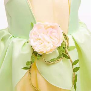 Costume d'Halloween Anime Cosplay Déguisement Carnaval <span class=keywords><strong>Princesse</strong></span> Vestido <span class=keywords><strong>la</strong></span> <span class=keywords><strong>Grenouille</strong></span> Fée Robes <span class=keywords><strong>de</strong></span> Soirée Elfe Vert <span class=keywords><strong>Robe</strong></span> <span class=keywords><strong>de</strong></span> <span class=keywords><strong>Princesse</strong></span> Tiana - Product Image 5