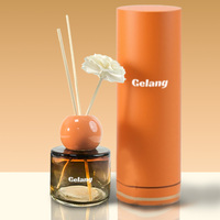 Mode vide diffuseur bouteille roseau rond 100ML 150ML 200ML verre diffuseur bouteille ambre diffuseur boîte emballage