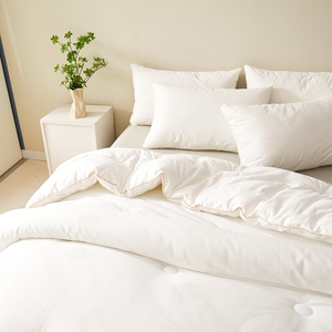 Modern King-Size Hotel <strong>Double</strong> <strong>Bed</strong> <strong>Duvet</strong> Insert Winter Quilt Soft Inner for Home Use Cotton - Product Image 3
