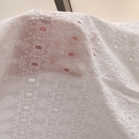 Haute qualité personnalisé 100% coton uni blanc oeillet tissu Floral creux tissé broderie dentelle tissus pour femmes robes d'été