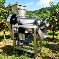 Industriële fruitpers, koudgeperste sapcentrifuge voor appel, sinaasappel, ananas, wortel en gember