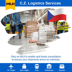 廉价海运代理Ddp/ddu服务运输中国到捷克共和国代理 - Product Image 6