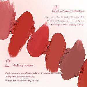 Lipstik Matte tabung persegi emas kecil Velvet, tahan lama, tahan air, dan tidak pudar - Product Image 4