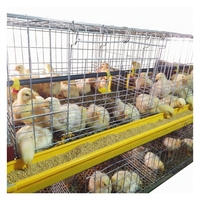 Cage d'élevage de type H, 3/4 niveaux, en batterie, galvanisée à chaud, pour poussins, élevage avicole, vente chaude pour usage domestique