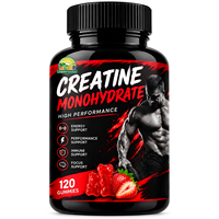 Créatine monohydrate en poudre, gommes à la créatine, vitamine 12, L-taurine, complément alimentaire pour le soutien de l'entraînement, logo personnalisé OEM