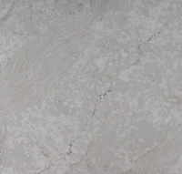 Dalle de quartz compacte de couleur grise, taille personnalisée pour projet d'ingénierie