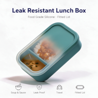 Boîte à lunch étanche en silicone de qualité alimentaire, compartimentée, avec couvercle ajusté pour soupes, sauces et voyages