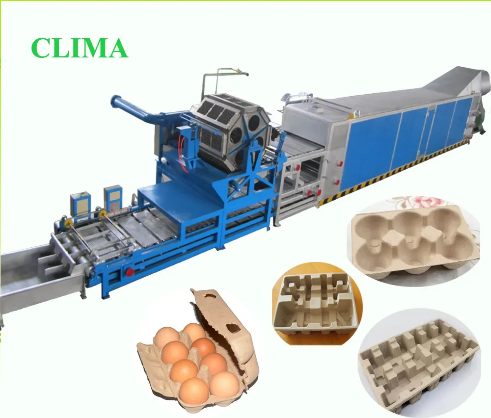 8000pcs/hr. Sugarcane máquina de resíduos da polpa do sugarcante pequeno ideias de negócios fabricando papel da bandeja do ovo da fábrica da máquina