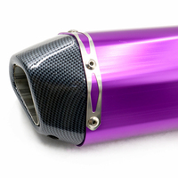 Ixil échappement moto violet db killer échappement petit silencieux de moto pour Z250 Z900 K8 ER6N FZ1 R1 R6