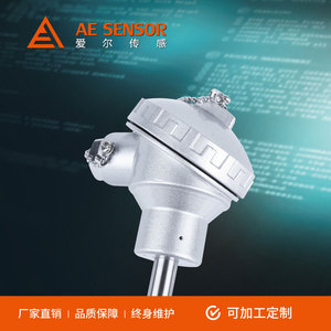 Sensor de Temperatura AE-PT100, PT100 4-20mA, Rosca M20*1.5, -200 a 500 Grados Celsius - Product Image 4