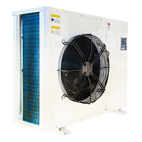 Unité de condensation à refroidissement par air à soufflage latéral Dashang 3HP 4HP pour armoires frigorifiques, petits supermarchés et chambres froides