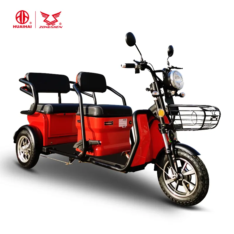 Tricycle électrique à 3 roues pour adultes avec batterie sans entretien, moteur de 1000W