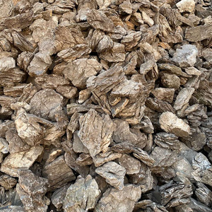Plantas de Acuario, Decoración para Peceras y Estanques, Paisajismo Acuático y Terrestre, Bonsái, Piedra de Dragón Verde para Jardín - Product Image 1