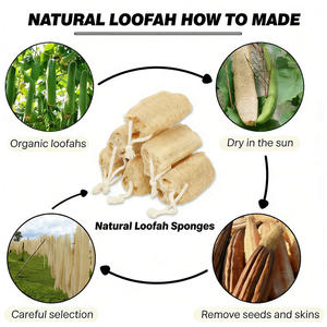 20 Piezas de Luffa Natural para Hacer Jabón, Cortes de Luffa Orgánica para Jabones Exfoliantes <span class=keywords><strong>Caseros</strong></span> Hechos a Mano - Product Image 6
