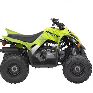 Nouveau Quad ATV 110 2026 SOHC 4 temps EFI Refroidi par air Transmission CVT FNR Transmission par chaîne Véhicule tout-terrain compact - Product Image 1