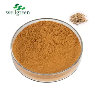 Factory Direct Sale Isatis Root Natural Indigowoad P.E Root Indigotica Powder Radix Isatidis Extract