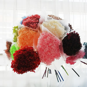 Usine En Gros Véritable Naturel Préservé Fleur Multi Couleur <span class=keywords><strong>Stabilisé</strong></span> Hortensias Hortensias Préservé - Product Image 3