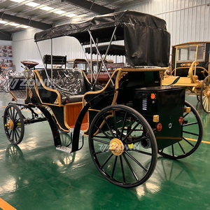 Elegante Carruaje de Caballos para Paseos Turísticos, Carroza de Caballos Clásica, Limusina Familiar Vintage, Carruaje de Caballos - Product Image 1