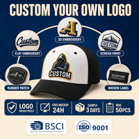 Casquette de baseball personnalisée avec logo tricolore, brodée, en coton, 6 panneaux, visière incurvée réglable, streetwear, vente en gros, OEM, faible MOQ