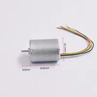 Bürstenloser DC 9-32V Mikromotor BLDC 2430 Modell 13500RPM Explosionsgeschütztes Permanentmagnet-Design für Roboter und Haushaltsgeräte