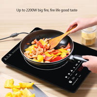 Cuisinière électrique Cuisinière à induction Table de cuisson Portable Solaire Au Power Wok Brûleur Top Heater Smart pour Cuisinières