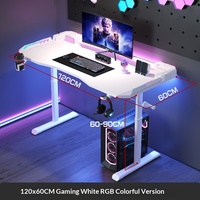 Bureau de jeu électrique réglable, table de jeu, escritorio gamer, ergonomique avec éclairage LED RVB pour les joueurs sur PC