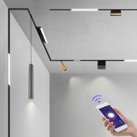 Lampe magnétique intelligente sur rail 48V 25W 30W Dali, encastrée, suspendue, éclairage LED magnétique pour rail de plafond