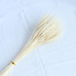 <span class=keywords><strong>Bouquet</strong></span> d'herbe séchée du Yunnan, plantes naturelles, oreilles <span class=keywords><strong>de</strong></span> <span class=keywords><strong>blé</strong></span> véritable, multicolores, <span class=keywords><strong>mariage</strong></span>, fête des mères, Pâques, Noël, Halloween, maison - Product Image 2