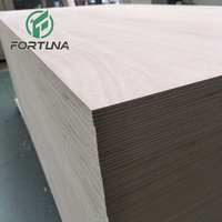 12mm 15mm 19mm 21mm Contenedor Armario Okouma Tablero de madera contrachapada