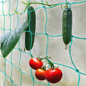 Filet de capture en nylon plastique blanc Longxing Construction pour oiseaux et chauves-<span class=keywords><strong>souris</strong></span> - Product Image 4