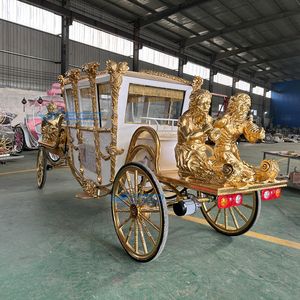 Calèche royale électrique personnalisée pour le tourisme, calèche extérieure de haute qualité - Product Image 6