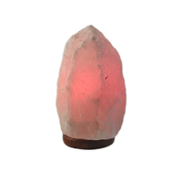 Lampe à sel naturelle de l'Himalaya, cristaux, veilleuse, 10-15 kg
