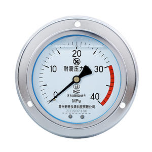 Suzhou แผงเกจวัดแรงดัน, 40Mpa YN100ZT แบบอนาล็อกทนต่อการสั่นสะเทือน - Product Image 1