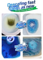 Dijual Hot Otomatis Toilet Bowl Cleaner 200G Tangki Toilet Tablet Toilet Bersih Blok