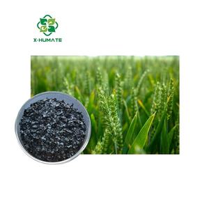 خلاصة الأعشاب البحرية العضوية X-humorganic Extract حار بيع-ate نقية قابلة للذوبان في عشب البحر - Product Image 3
