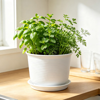 Pot de Plante en Résine Épaissie avec Trou de Drainage, Design Minimaliste, Durable, 5,33 L, Jardinière pour la Maison et les Plantes Grasses
