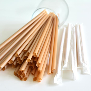 Custom Length Disposable <b>PLA</b> Straws Biodegradable Beverage Straws for Smoothie Soda Cocktail and Bar Supplies - Product Image 2