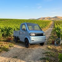 Véhicule Électrique Adulte Sans Conduite Immatriculée, Nouveau Modèle 2026, Mini Voiture Électrique Chinoise, Microcar Électrique, Petite Voiture Électrique, Vente en Gros