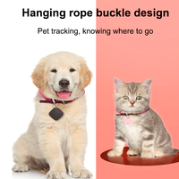 Mini traceur anti-perte sans fil, localisateur d'objets, pour clés, portefeuille, sac, animaux domestiques (chien, chat)