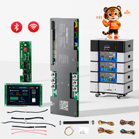 TDT 8S 16S 48V 100A 200A 300A LiFePO4 BMS PCBA WiFi BT Sistema de Gestión de Baterías (BMS) para Almacenamiento de Energía Doméstica Compatible con Inversor para Paquete de Baterías de Litio