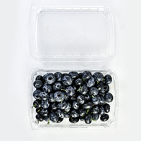 Kotak Kemasan Plastik PET Transparan Food Grade untuk Buah Segar Stroberi dan Blueberry, Ukuran 1lb/1.5lb/2lb