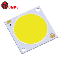 Lampu Sorot LED COB Bridgelux Sanan Epistar Flip Chip 620nm 660nm 730nm 850nm 940nm IR UV untuk Perawatan Kesehatan 50W 100W dalam Lampu Par