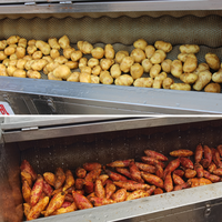 Elektrische aardappelwas- en schilmachine SUS 304 borstelrol groente- en fruitverwerkingsapparatuur