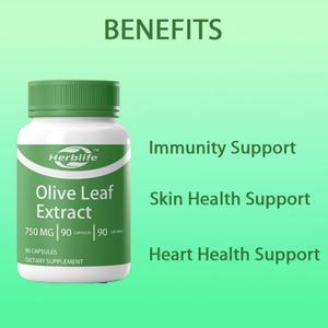 Cápsulas de Extracto de Hoja de Olivo de Venta Caliente OEM/ODM para Adultos, Suplementos Herbales - Product Image 3