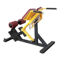 Nouveau banc d'exercice abdominal Cybex en acier de couleur commerciale, chaise romaine, extension dorsale pour l'entraînement physique, en vente