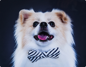 Impresiones de Arte Metálico Moderno de Gran Tamaño, Impresión UV en Aluminio Brillante, Sublimación de Tinta, Impresión Fotográfica en Aluminio - Product Image 2